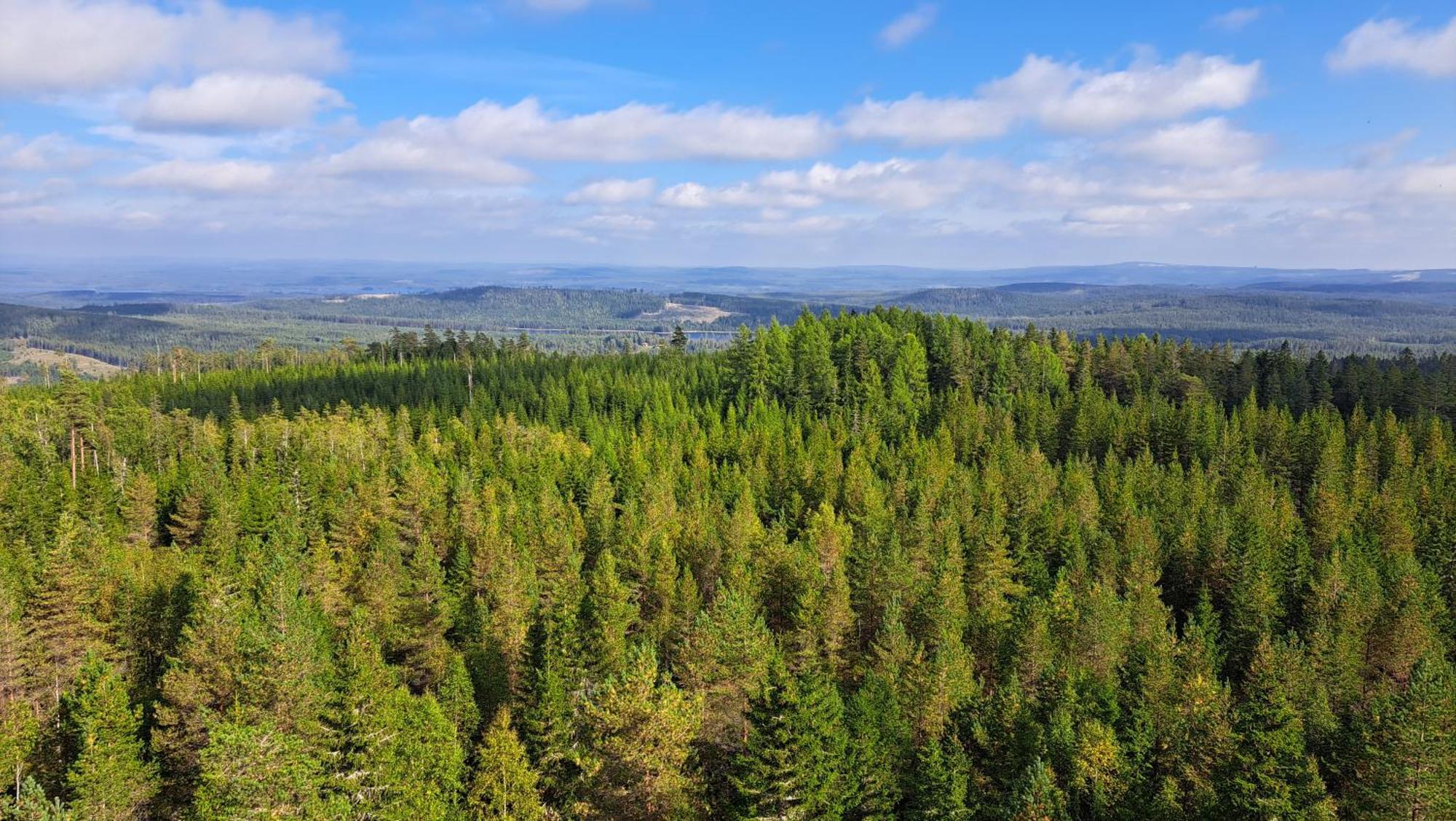 Lodge Naestorp Broa, 1