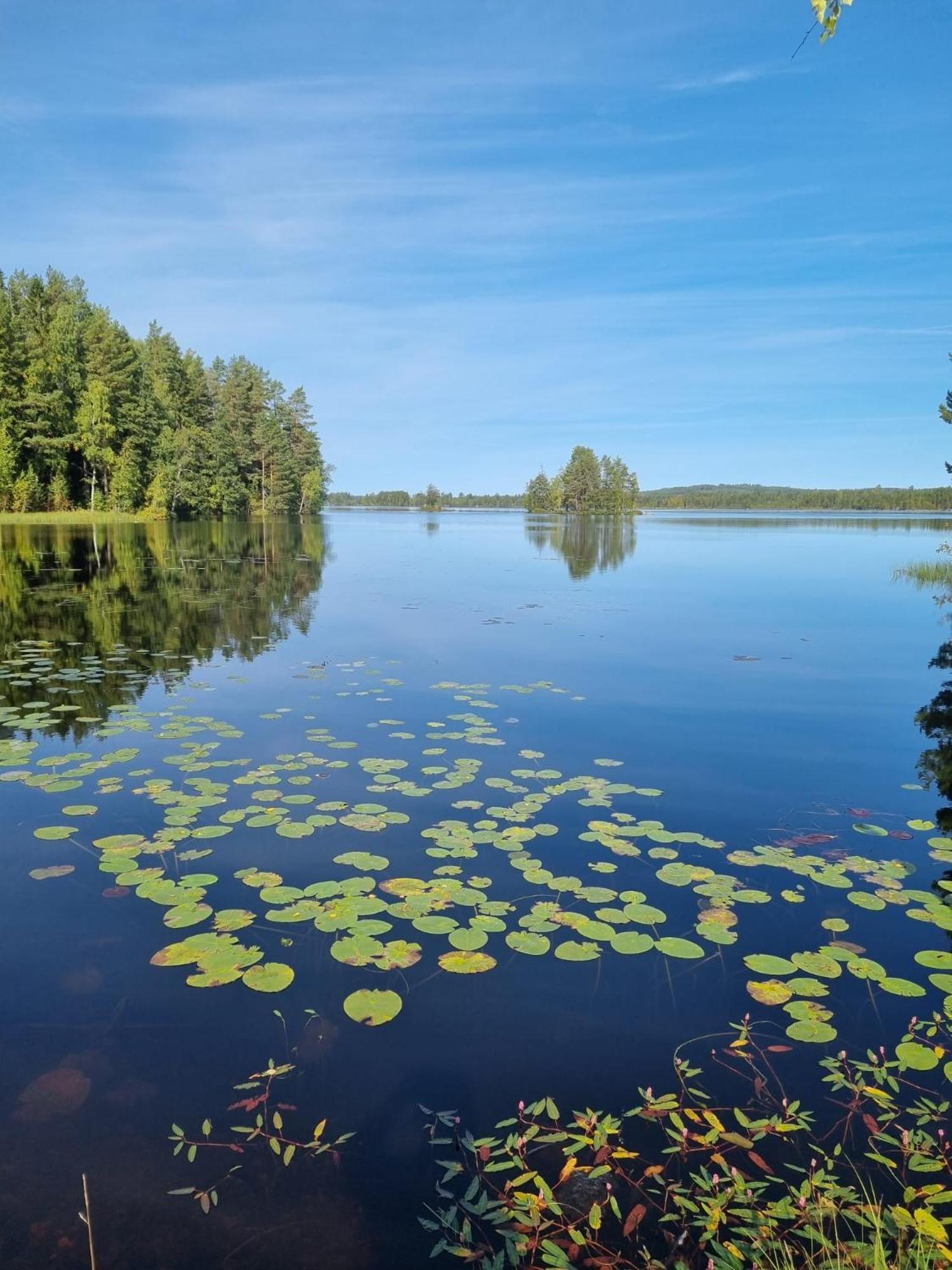Naestorp Broa, 1