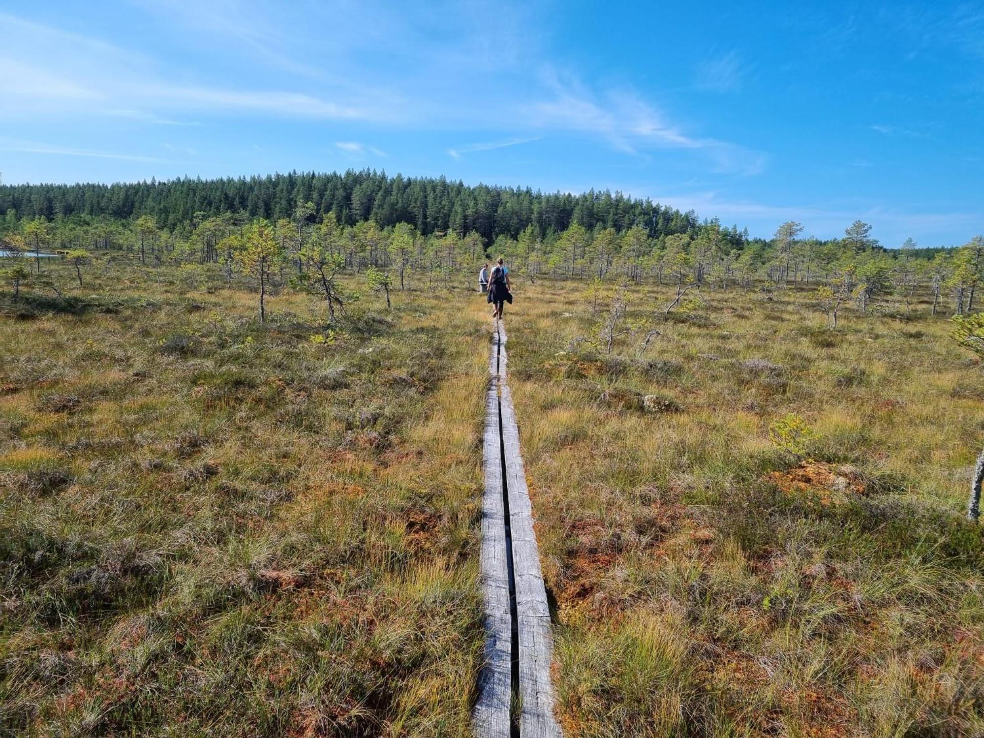 Naestorp Broa, 1 Lodge Hagfors